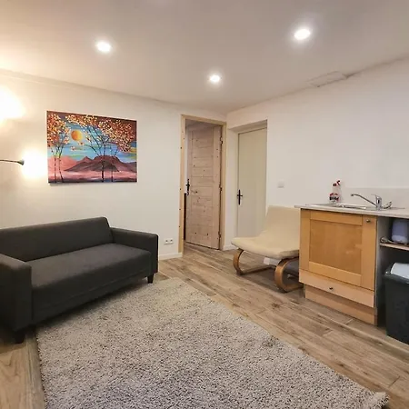 Private Terrace, Cosy Appartement, Ideal Couple, Bbq,relax, Welcome, Near La Clusaz, Grand Bornand, Annecy And Lake, Many Sports And Entertainment Activities Summer And Winter *